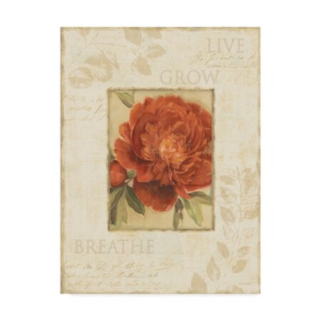 Trademark Fine Art Lisa Audit 'Soothing Words II' Canvas Art, 14x19 ALI31551-C1419GG